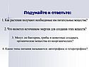Подумайте и ответьте: