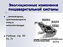Эволюционные изменения пищеварительной системы