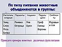 По типу питания животные объединяются в группы: