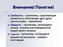 Внимание