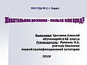 Жевательная резинка - польза или вред