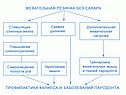 Пищеварительная система животных