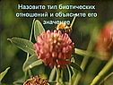 Тип биотических отношений