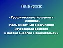 Трофические отношения в природе