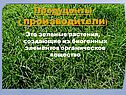 Продуценты
