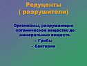 Редуценты 