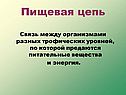 Пищевая цепь