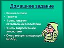 Домашнее задание