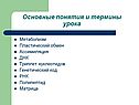 Термины