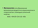 Фотосинтез