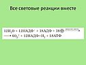 Световые реакции