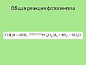 Общая реакция фотосинтеза