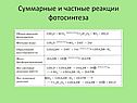 Частные реакции фотосинтеза