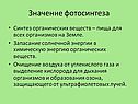 Значение фотосинтеза