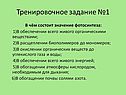 В чём состоит значение фотосинтеза