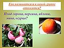 «Плоды» 6 класс