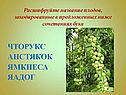 Расшифруйте название плодов