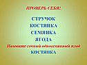 Назовите сочный односемянный плод