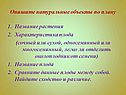Опишите натуральные объекты по плану