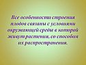 Все особенности строения плодов связаны с условиями окружающей среды
