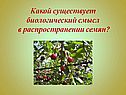 Какой существует биологический смысл в распространении семян
