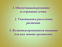 Развитие и созревание семян