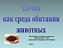 Почва как среда обитания животных