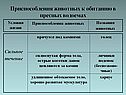 Приспособления животных к обитанию в пресных водоемах