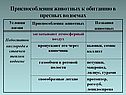 Приспособления животных
