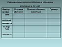 Фактор среды