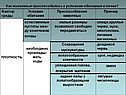 Естественные пустоты