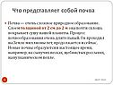 Что представляет собой почва