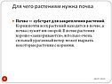 Для чего растениям нужна почва