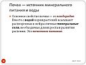 Почва — источник минерального питания и воды
