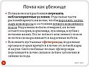 Почва как убежище