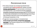 Рассоление почв