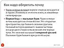 Как надо оберегать почву
