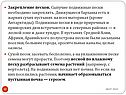 Закрепление песков