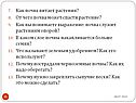 Как почва питает растения