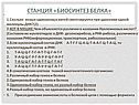 Биосинтез белка