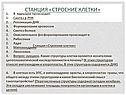 Строение клетки