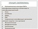 Систематика