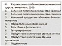 Особенности организмов