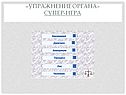 Упражнение органа