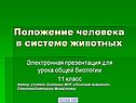 Положение человека в системе животных