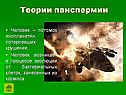 Положение человека в животном мире