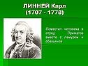 Линней Карл