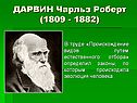 Дарвин Чарльз Роберт