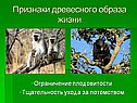 Ограничение плодовитости