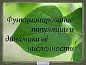 Функционирование популяции и динамика её численности